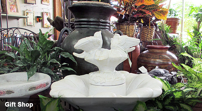 Slideshow Image 4